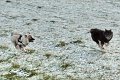 fehmarn2010 (11)